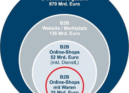 How Large is the German B2B E-Commerce Market?