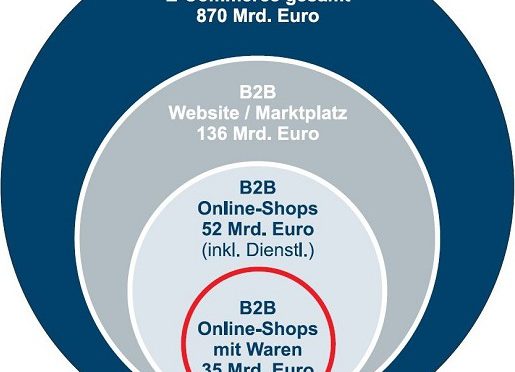 How Large is the German B2B E-Commerce Market?