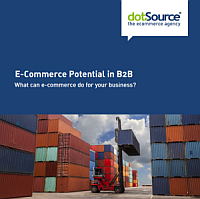 b2b-commerce-whitepaper