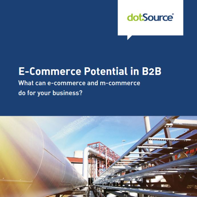 dotsource-white-paper-e-commerce-potential-in-b2b