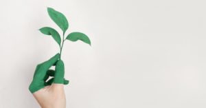 Sustainability as a Business Strategy [5 Reading Tips]