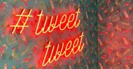 Twitter Takeover Elon Musk Reading Tips