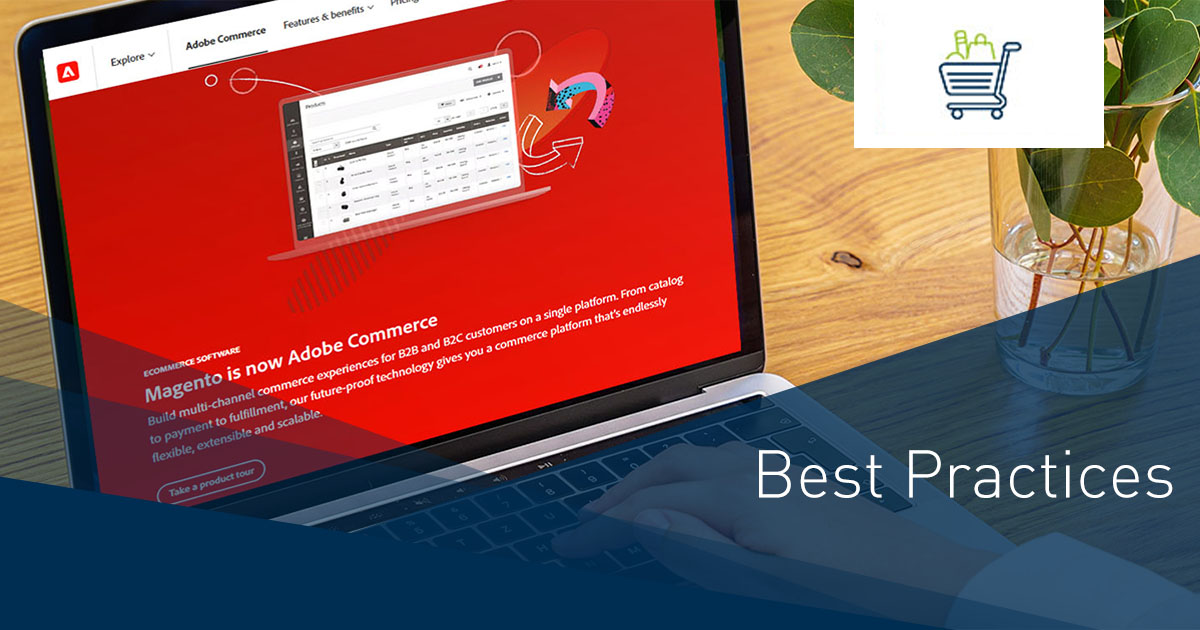 Magento / Adobe Commerce Online Shop: Successful in B2B and B2C with Powerful E-Commerce Solution [Best Practice]