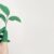 environmental protection, digitisation, sustainability, business strategy