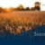 myAGRAR CRM and Marketing Automation Success Story